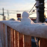 応援コメントありがと❤︎