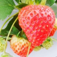 出勤予定変更になりました💦