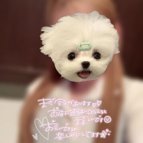 出社するよっ♡