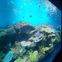 出勤のお知らせ♡