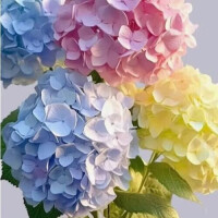 生理休暇♡