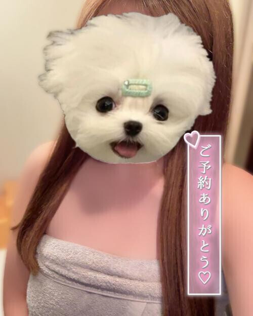 お知らせ♡＆謝罪(;_;)