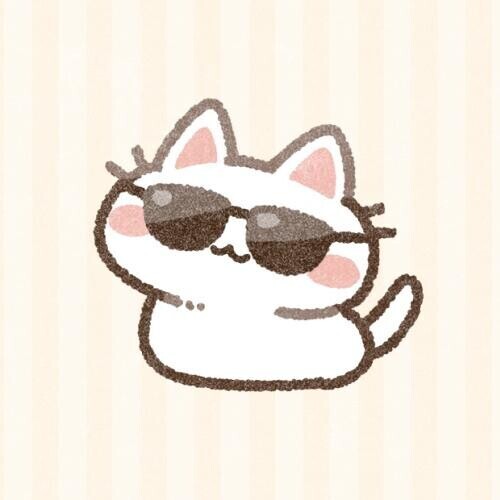 お久しぶりです！