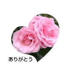 昨日のお礼～??と次の予定?