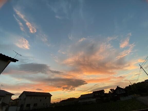 急遽お休みしてしまいごめんなさい