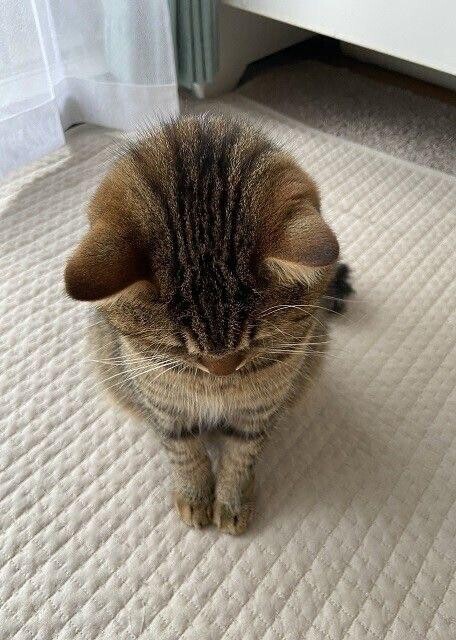予約してくれた方ごめんなさい。