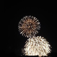 あみ