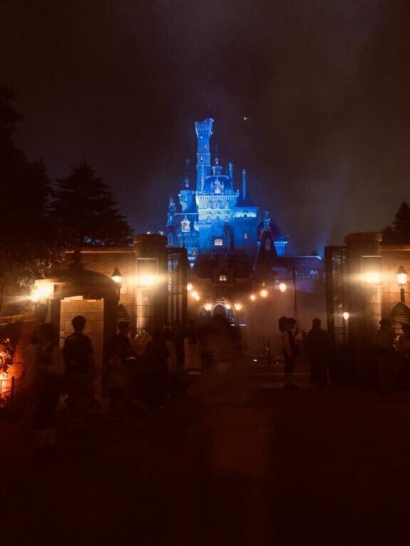    楽しかった ディズニーランド