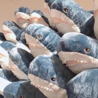 一緒にすごそう？