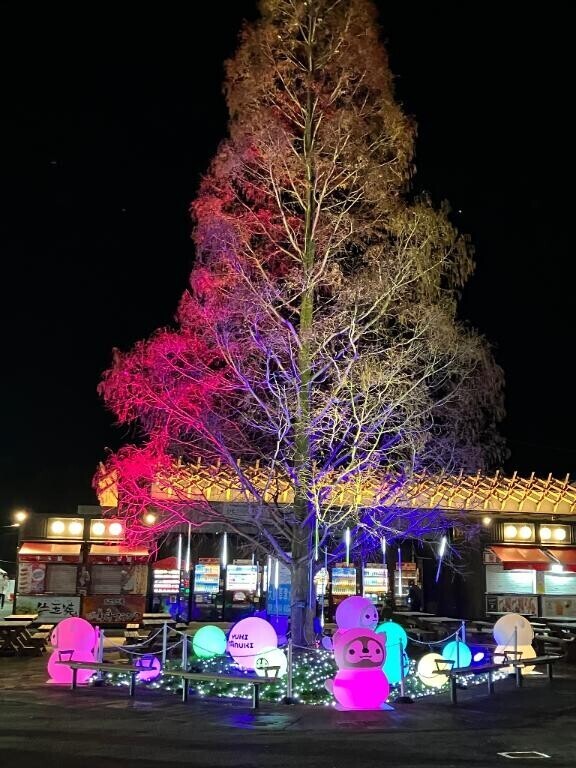 今日はごめんなさーい！