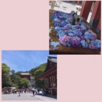 みずき