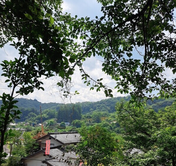来週の出勤予定でーす♪