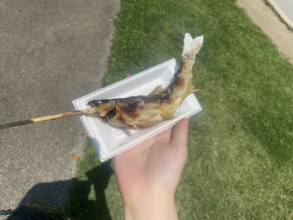 明日出勤しまーす(^-^)/