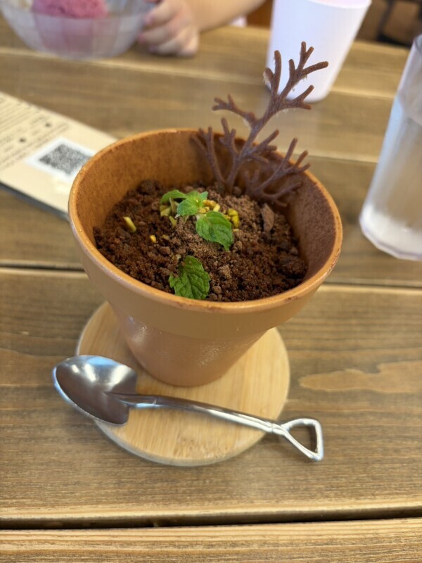 土と葉っぱを食べました？