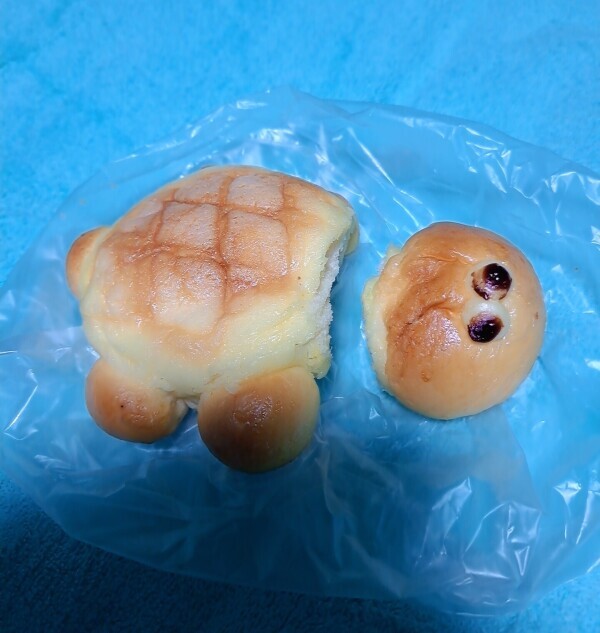浮気現場でクビ切りです(ToT)
