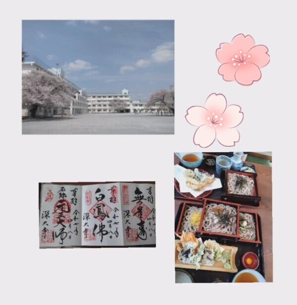 桜