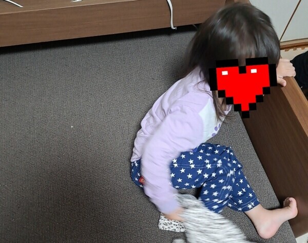 最近のゆめの家の報告！！