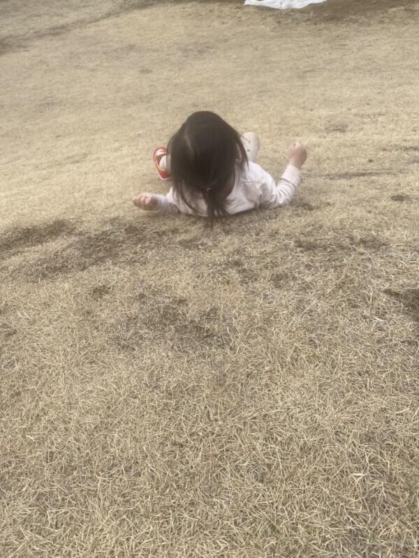 本日ゆめの出勤なう！