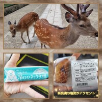 こずえ