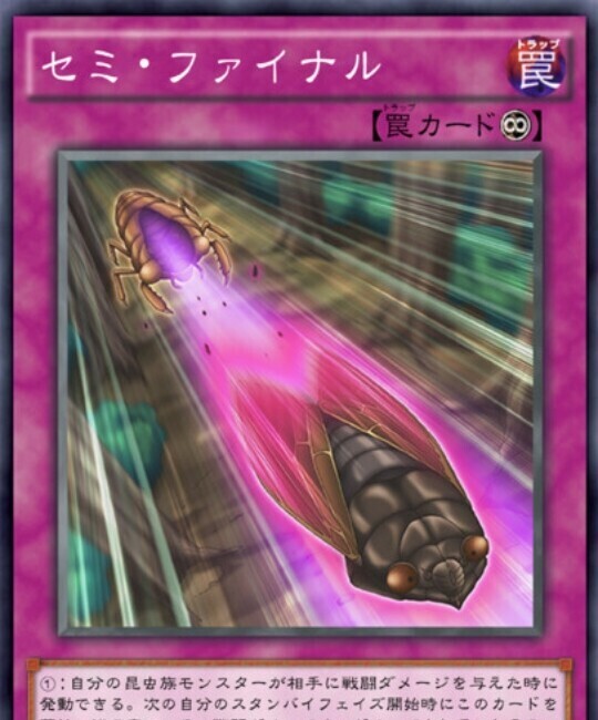 次回の出勤☆
