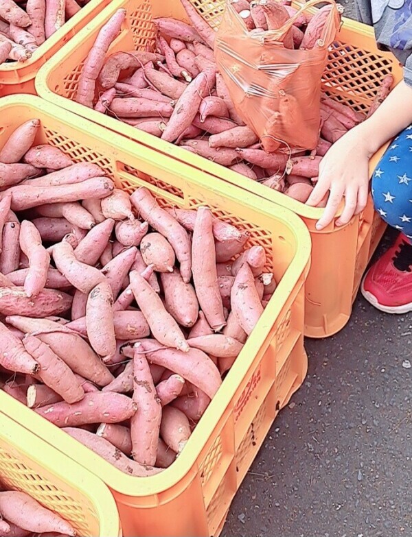 茨城といったら芋！！