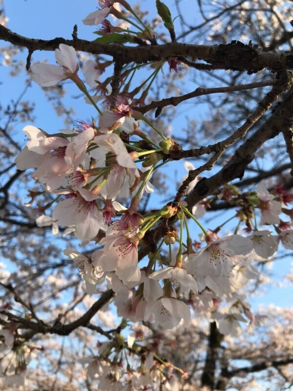 打ち合わせとは？