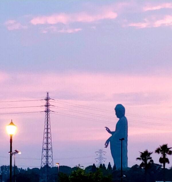 クマは冬眠しますか？