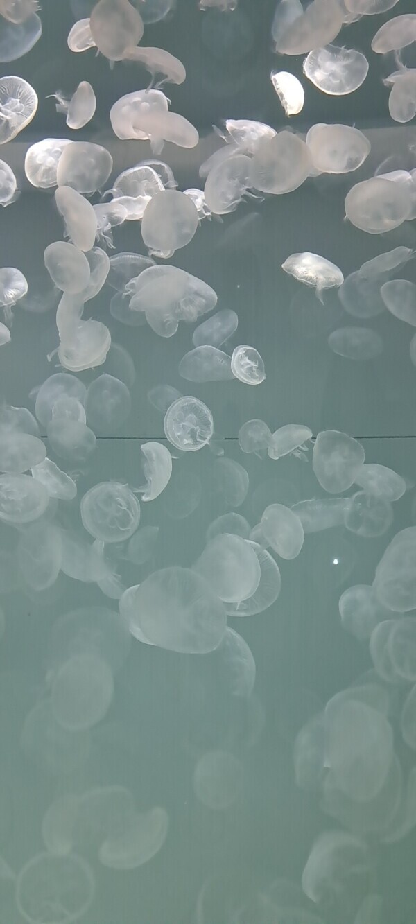 サッカー日本勝った～＼(^^)／