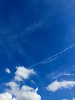 今日から、、、