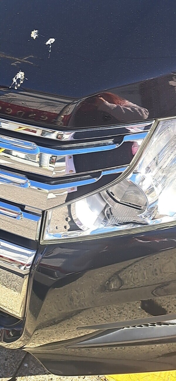 新年早々運があります！？