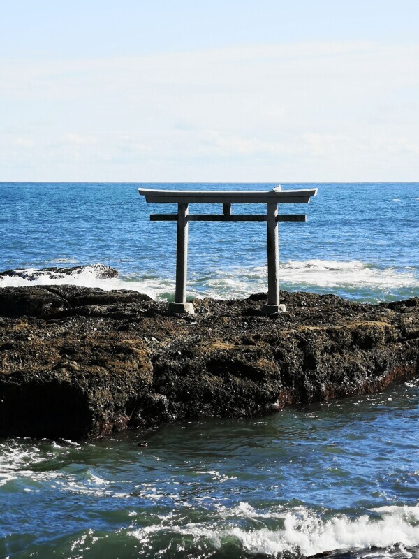 春の七草全部言えますか！？