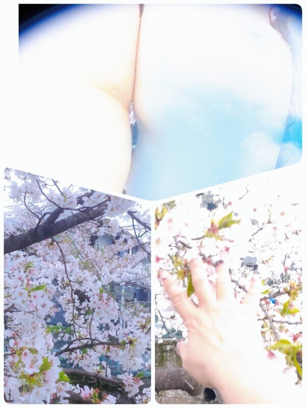 きみえです(^_^)/