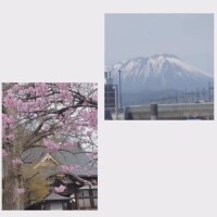みずき