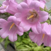 眼科医くんとばったり会いました