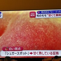 桃*⋆⸜🍑⸝⋆*