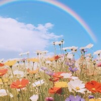 明日も良い日になったら嬉しいな❤️