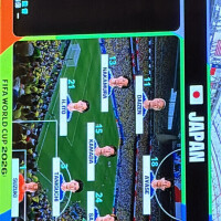 ブラジル戦