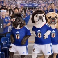 玉蹴試合*⋆⸜⚽️⸝⋆*