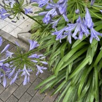 眼科医くんに彼女ができたって。