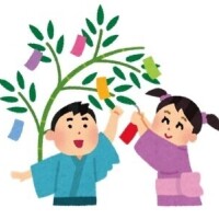 七夕🎋