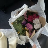 昨日買って帰ったお花🌺