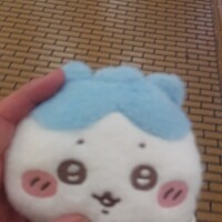 ハチワレちゃん💙