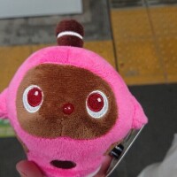 仲間増えた！