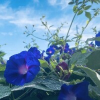 事前のご予約ありがとうございます♡
