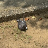 ＮさんMさんありがとさん😆
