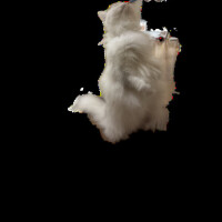 遂に