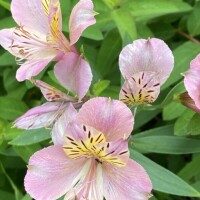 おはようございます♡