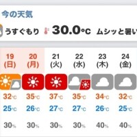 えぇぇ！！