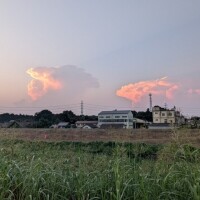 お散歩♡