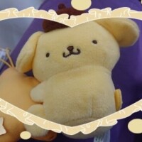 ぽむ💛